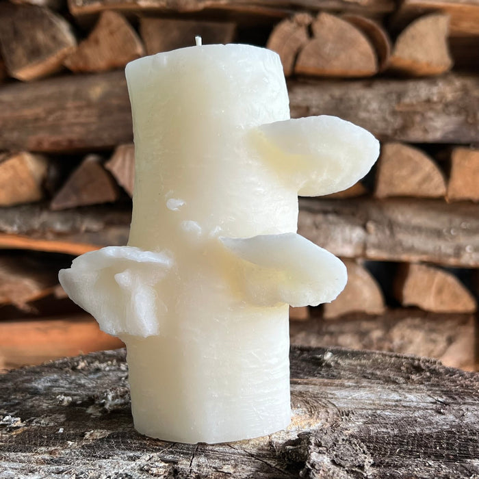 Birch Pillar Candle - Medium Ivory