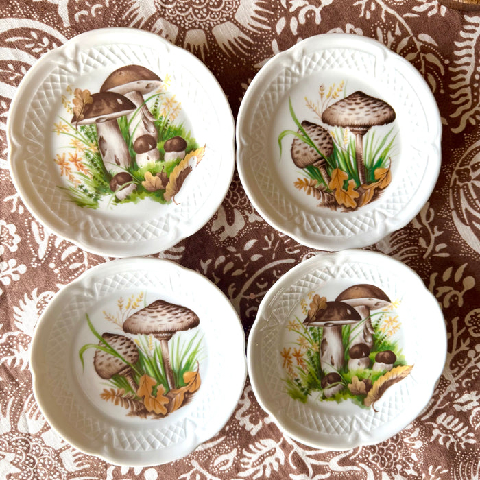 Vintage Mushroom Plates s/o 4