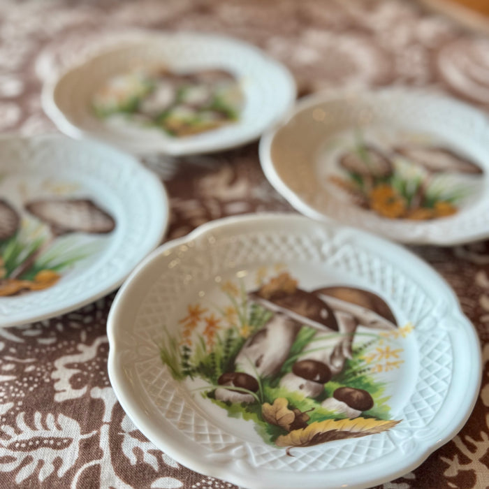 Vintage Mushroom Plates s/o 4