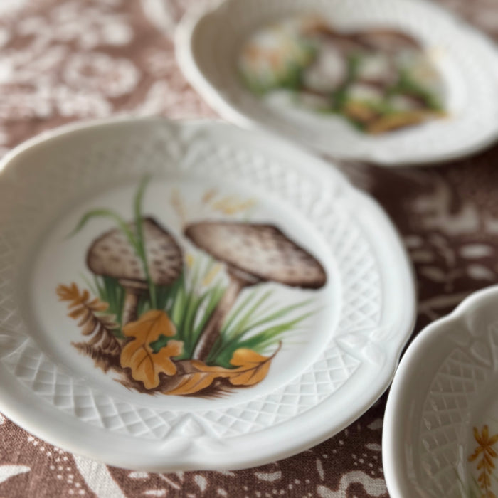 Vintage Mushroom Plates s/o 4