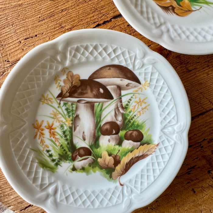 Vintage Mushroom Plates s/o 6