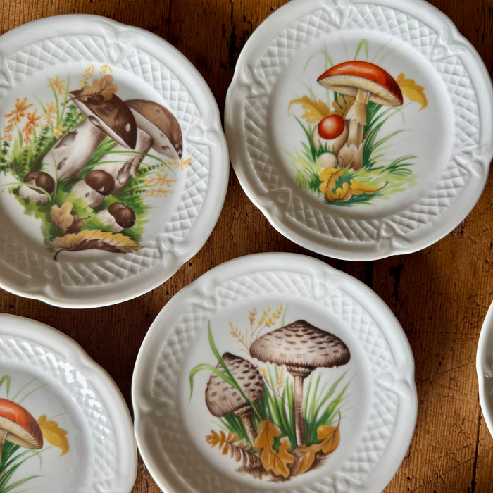 Vintage Mushroom Plates s/o 6