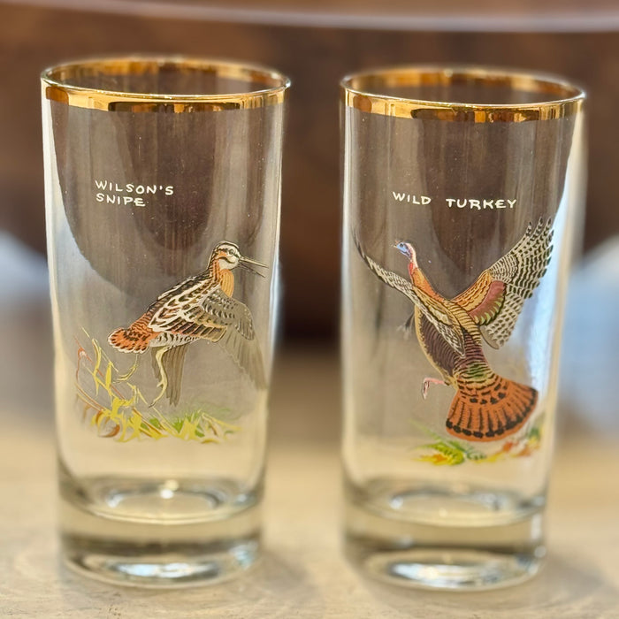 8 Vintage Game Bird Glasses