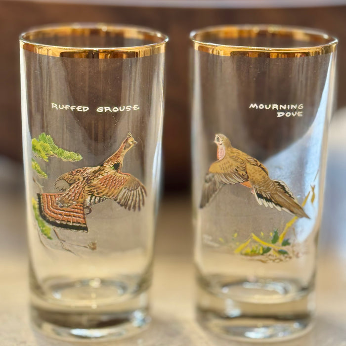 8 Vintage Game Bird Glasses