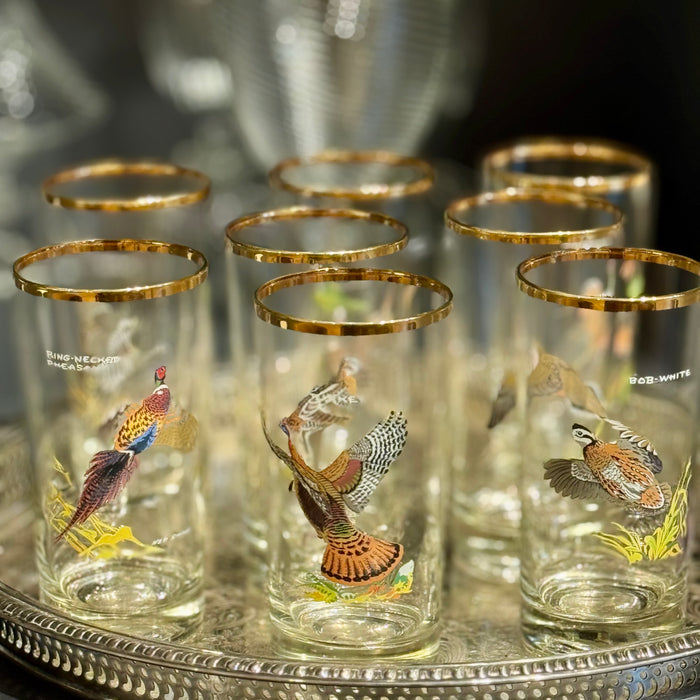 8 Vintage Game Bird Glasses
