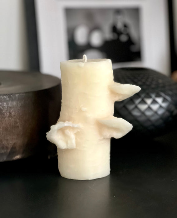 Birch Pillar Candle - Medium Ivory
