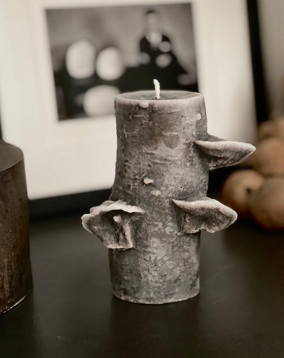 Birch Pillar Candle - Medium Dark Brown