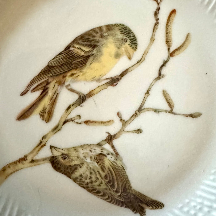 Limoges Bird Canape Plates