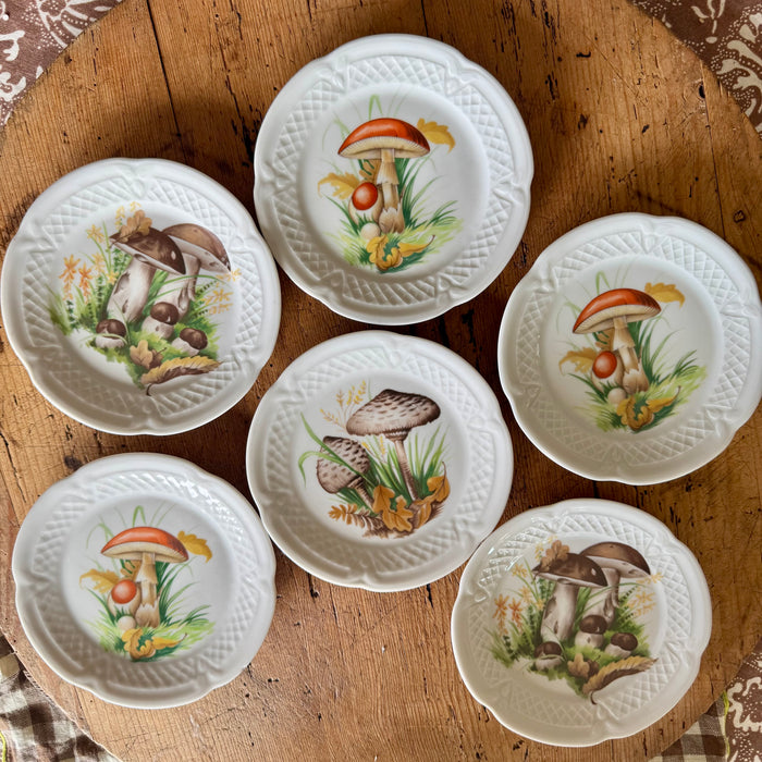Vintage Mushroom Plates s/o 6