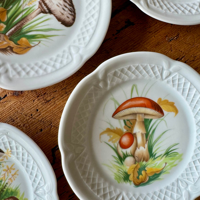 Vintage Mushroom Plates s/o 6