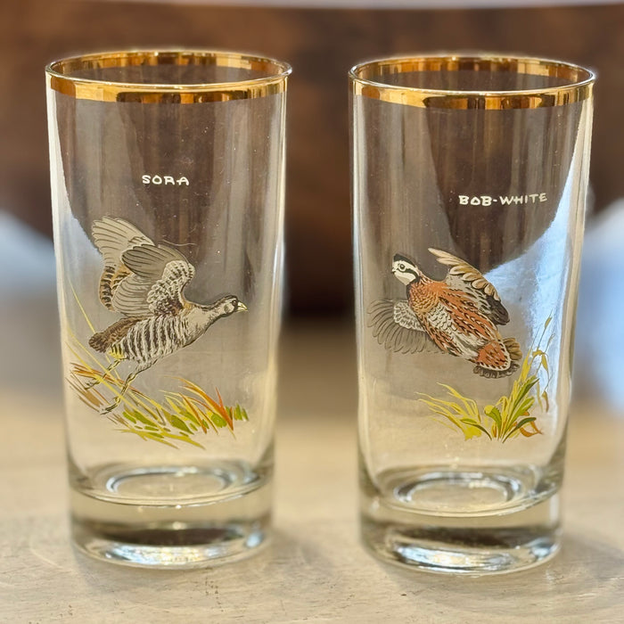 8 Vintage Game Bird Glasses