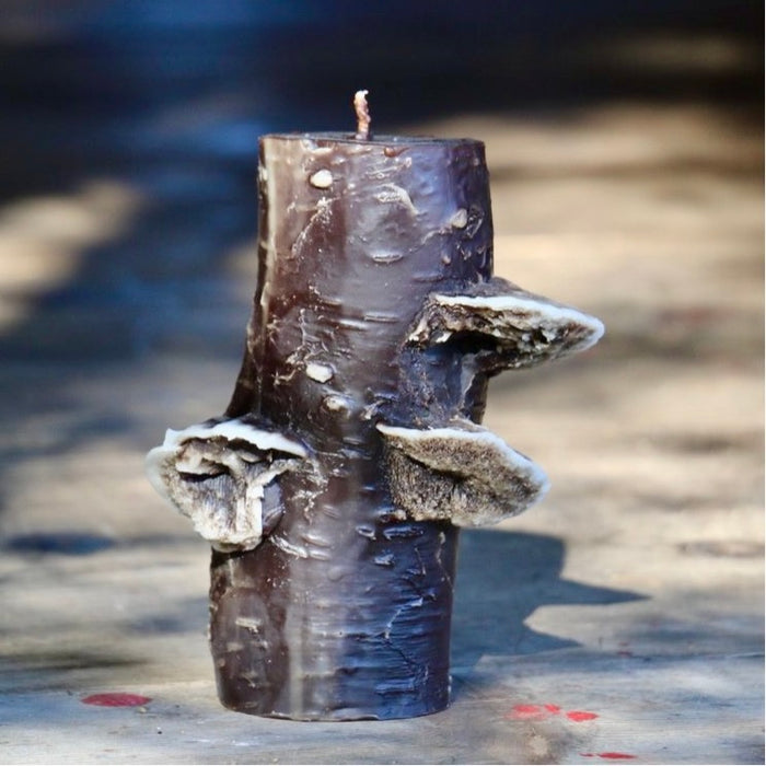 Birch Pillar Candle - Medium Dark Brown